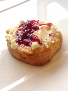 Fonab scone2