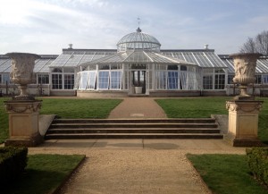 The camellia conservatory at Chiswick House, London