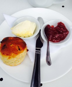 A scone at Orange Pekoe, Barnes, London