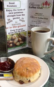 A scone at Blossoms Bistro, Torwood