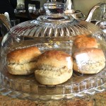 Scones at Anteagues Tearoom, Edinburgh