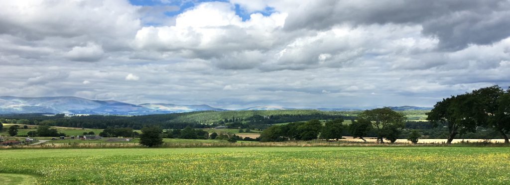 View to the north from the Walled Garden