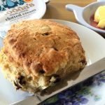 a Ladybird Tearoom scone