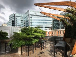 View from the roof terrace of the Lyric theatre Hammersmith