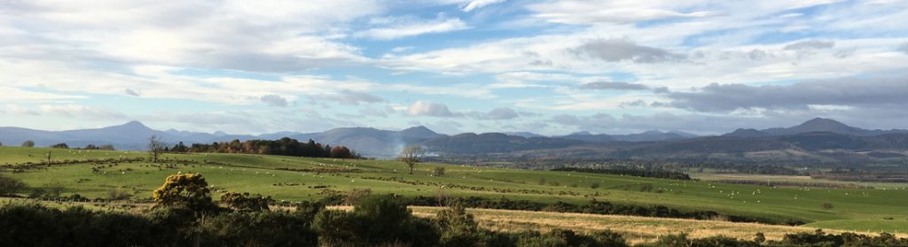 View north from the Fintry - Kippen road.