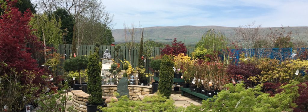 View from the Butter Churn Coffee Shop, Kirkintilloch