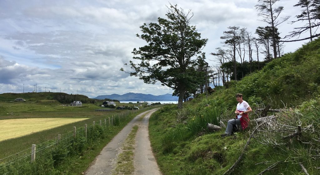 On the main road on the Isle of Muck