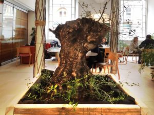 Internal view of St George's Tron Church and the Wild Olive Tree Café in Glasgow