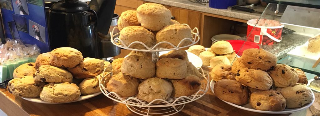 Scone display at the Shoreline Café in Craster, Northumberland