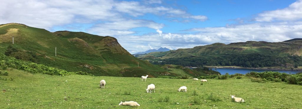 View of Ben Cruachan from the Isle of Kerrera