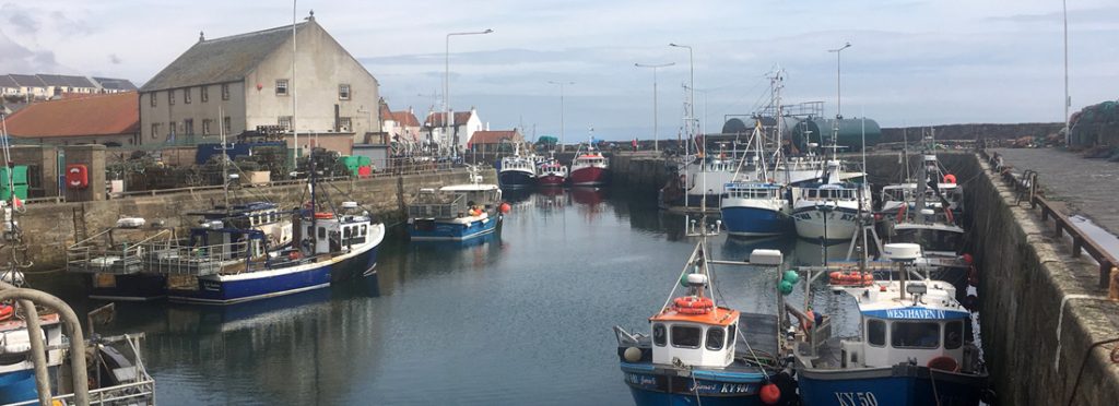 The harbour fishing boats at Pittenweem, Fife