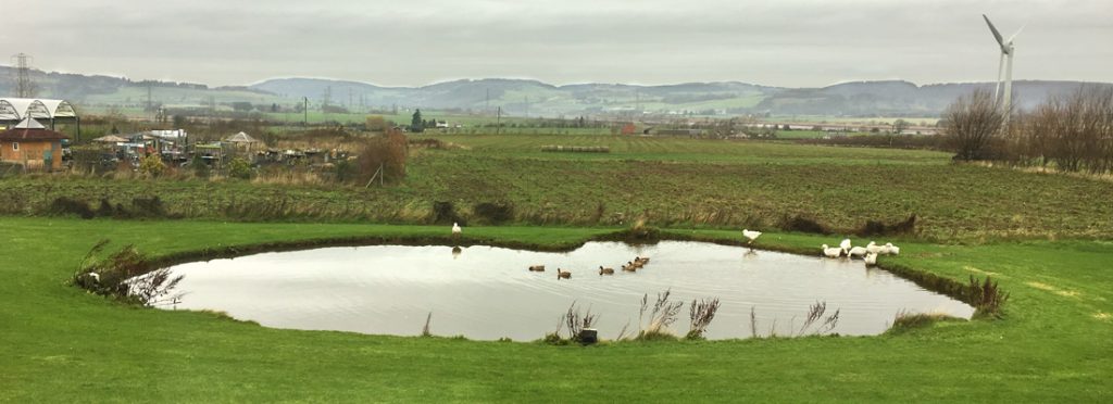 View from the Jamesfield Farm restaurant near Perth