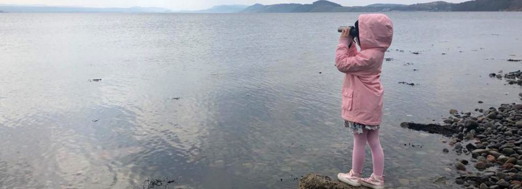 Looking for dolphins at Chanonry Point, Fortrose