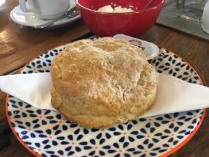 A scone at the Sandyford Smithy Coffee Shop