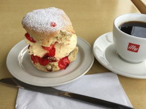 A scone at the Topiary Coffee Shop at Klondyke Garden Centre, Falkirk
