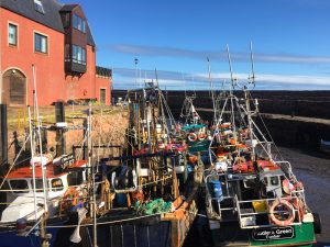 Fishing boats in the harbour at Dunbar