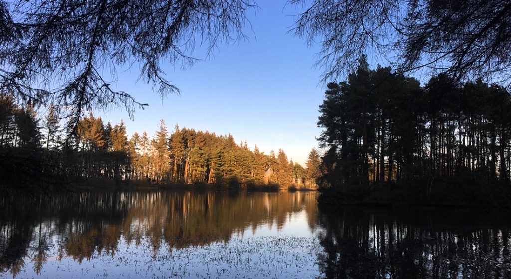 Photo of Beecraigs loch in late November