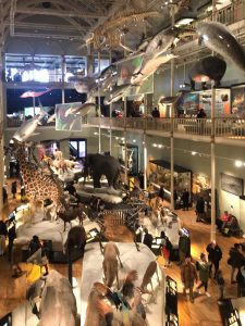 A gallery at the Nation Museum of Scotland