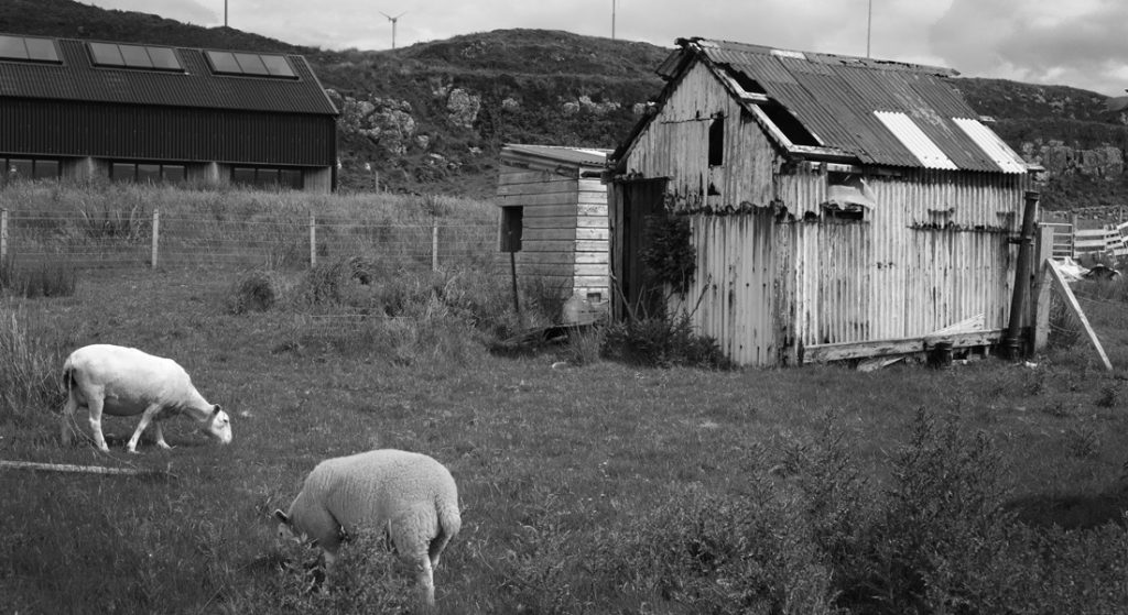 A Muck shed