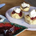 Scones at the Blue Wren Bush Cafe