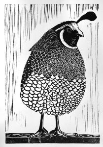 Etching of a quail