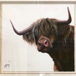 Picture of a Highland cow