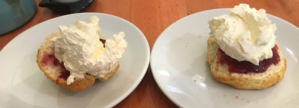 A scone at the Beech Tree Café