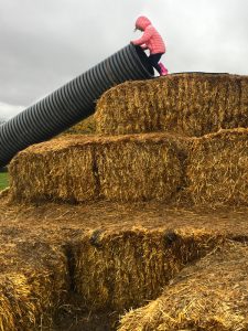 A slide at Cairnie Fruit Farm