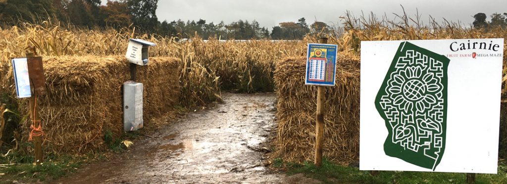 The maze at Cairnie Fruit Farm