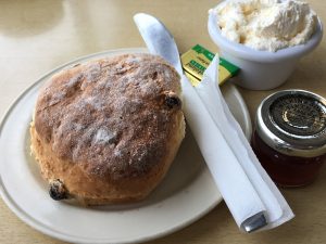 A scone at Klondyke Garden Centre