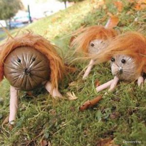 wild haggis