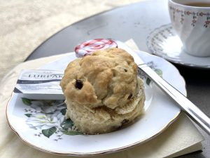 A scone at the Village Cafe in Ceres