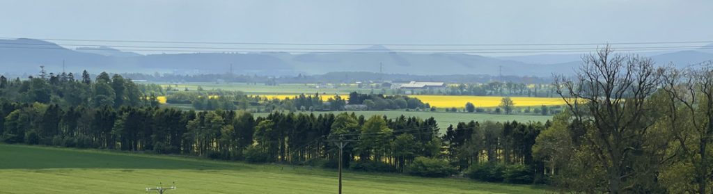 Green and gold fields