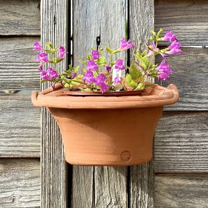 A Crail Pottery flowerpot with some Nepeta bought in Ceres