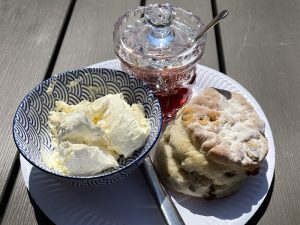 A scone from the fish man