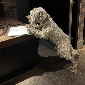 A shaggy dog sculpture at Dakota Hotel