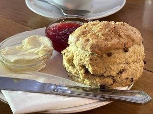 A scone at the Hidden Lane Tearoom