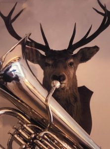 Red deer playing a musical instrument