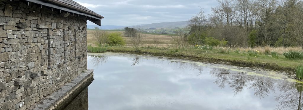 View from Tebay Services