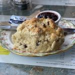 A scone at MacMillan's Kitchen