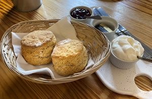 Cream tea at Darnley Coffee House