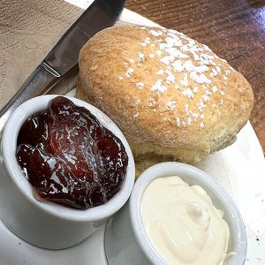 A scone at Appleseed Cafe Strathalbyn