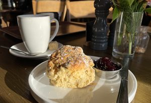 Scone at the Storehouse of Foulis